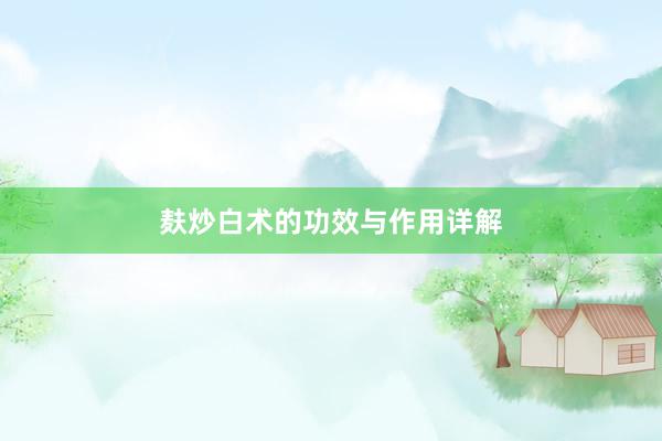 麸炒白术的功效与作用详解